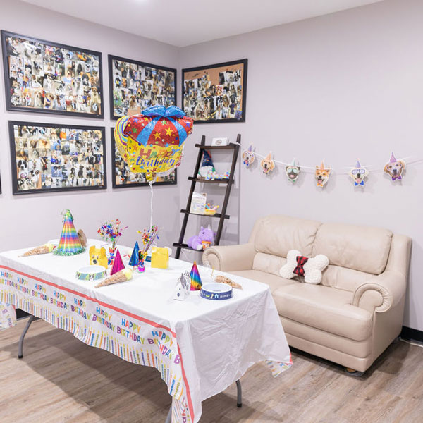 wide angle view of The Party Room at Yadi's Yummies decorated for a party