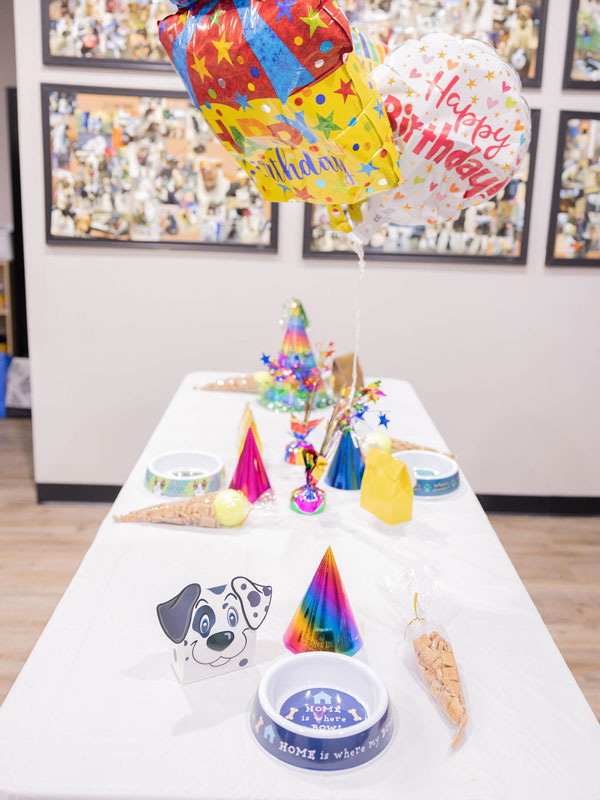 decorated table with pet treats, party hats, and balloons