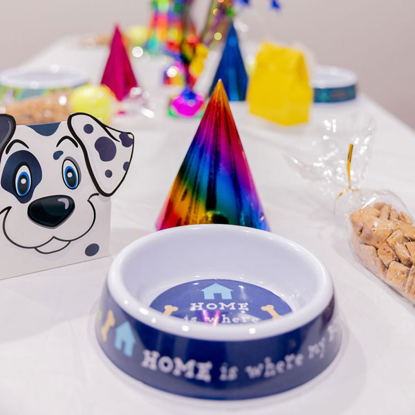 close up view of a setting at the Party Table with treat bags and rainbow party hat